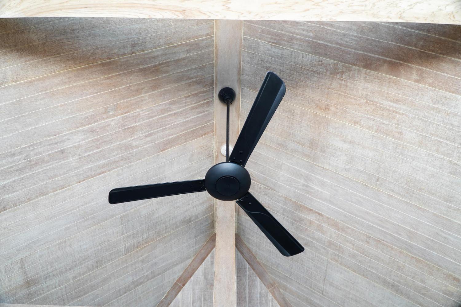 Three-blade ceiling fan viewed from below to show its full blade span